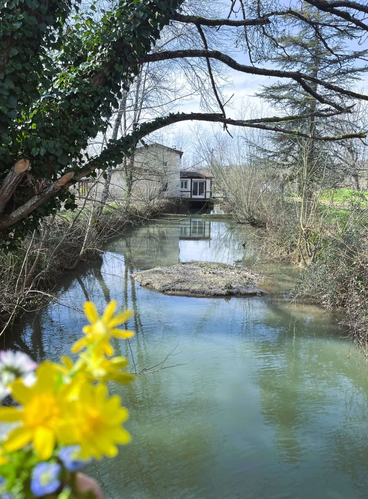 Vue sur le moulin depuis la rivière avec fleurs au premier plan